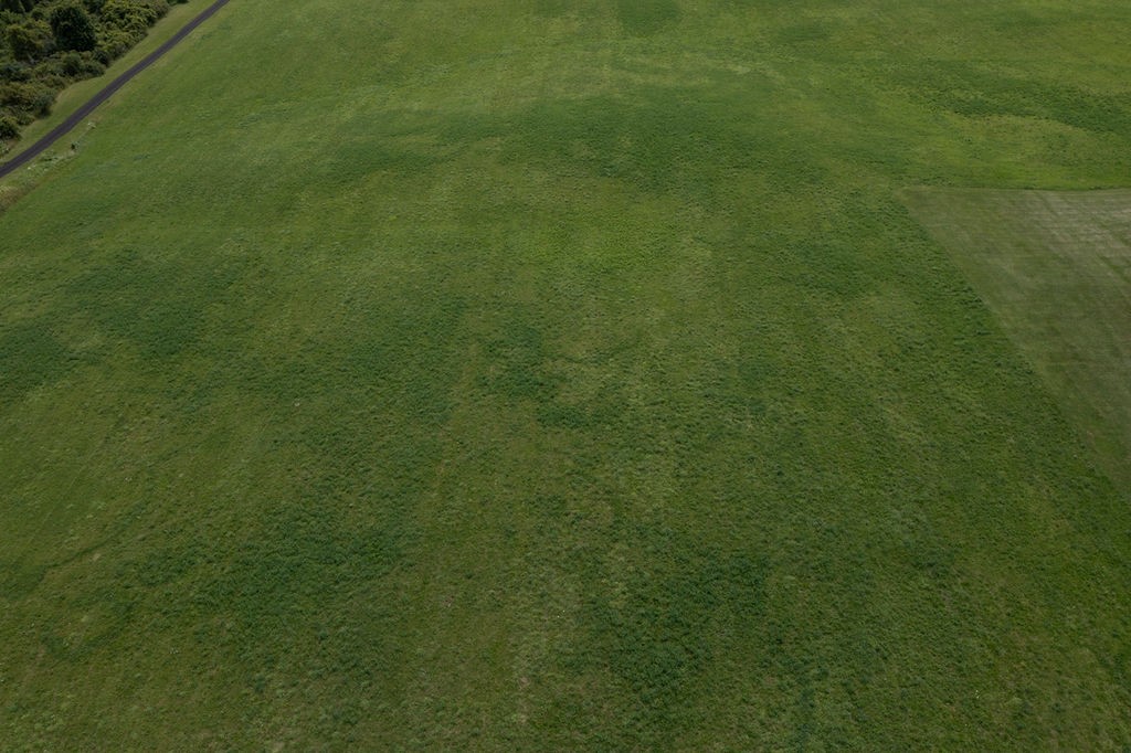 0 Cherry Street Bloomfield, NY 14469 - Photo 6 of 12