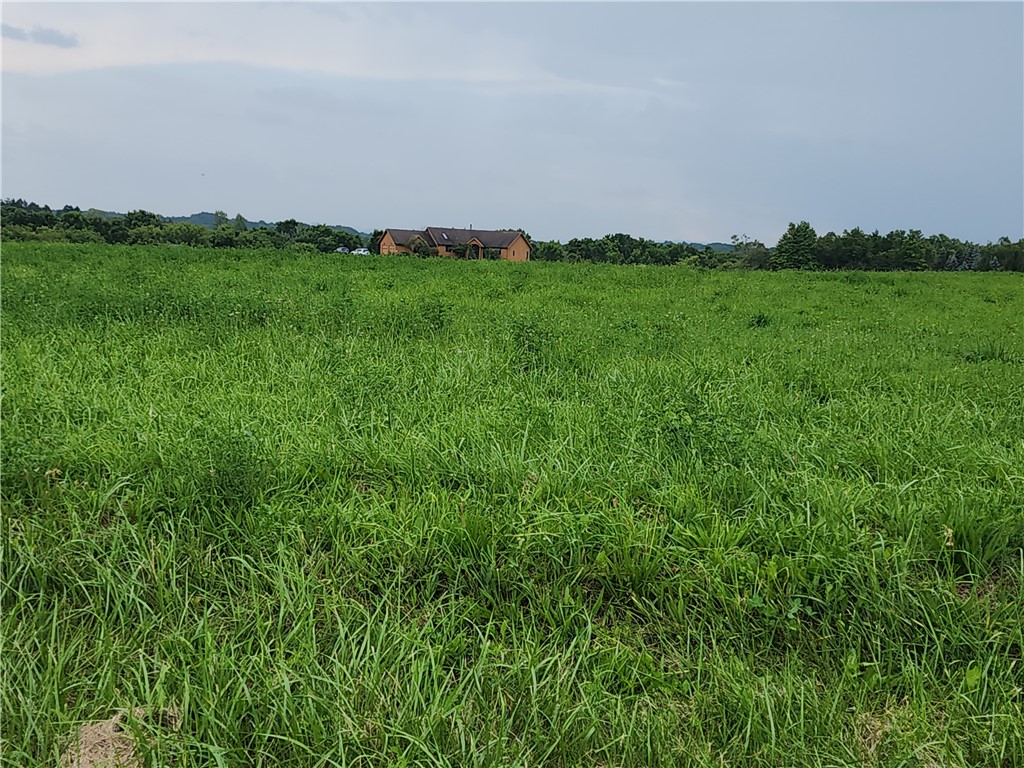 0 Cherry Street Bloomfield, NY 14469 - Photo 10 of 12