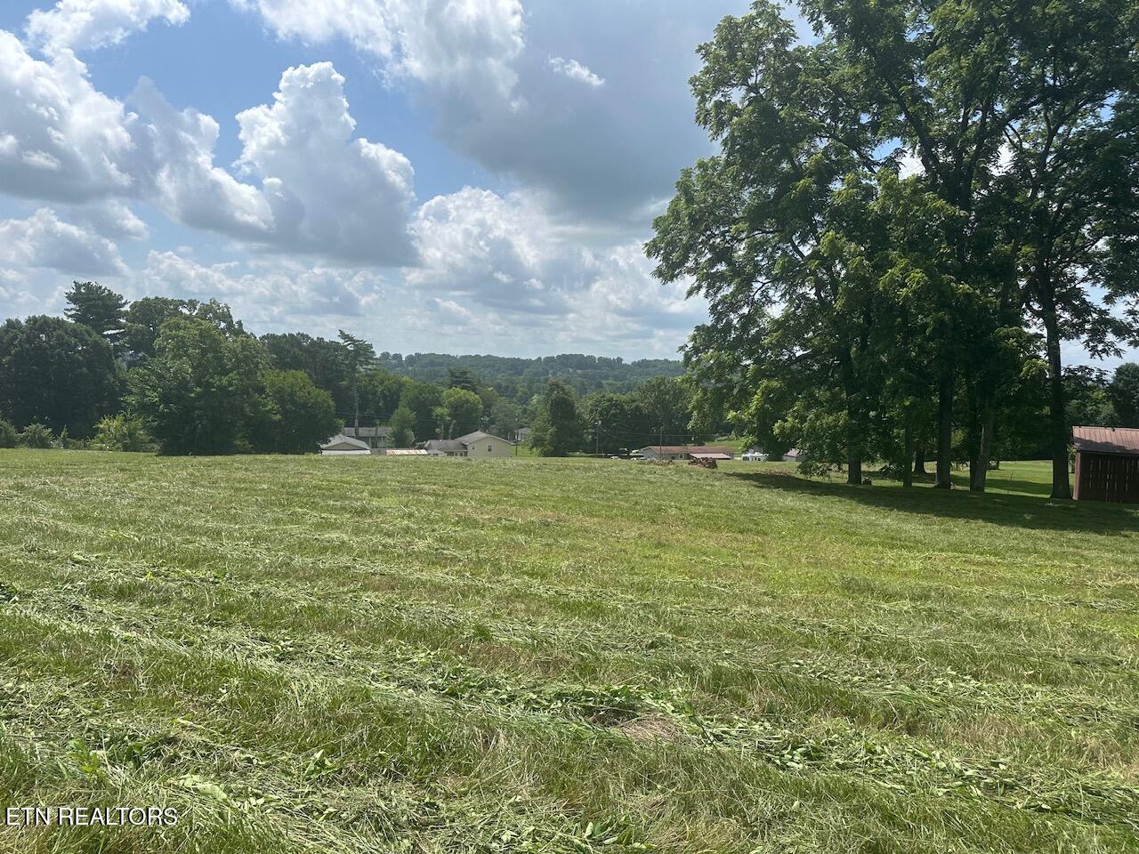 1035 Green Road Madisonville, TN 37354 - Photo 26 of 46 IMG_1200