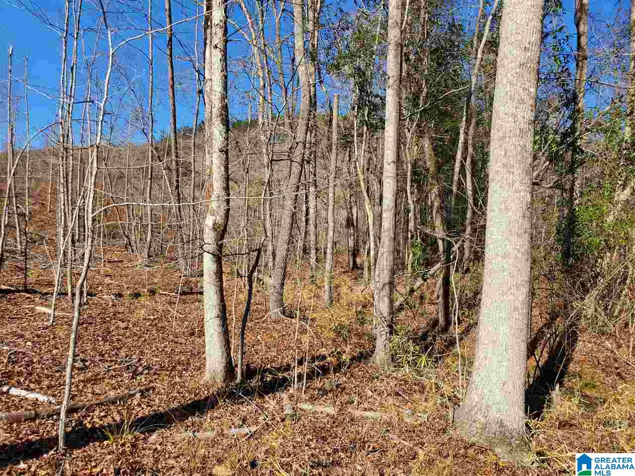 0 Berry Road, Unit 152 Goodwater, AL 35072 - Photo 25 of 30