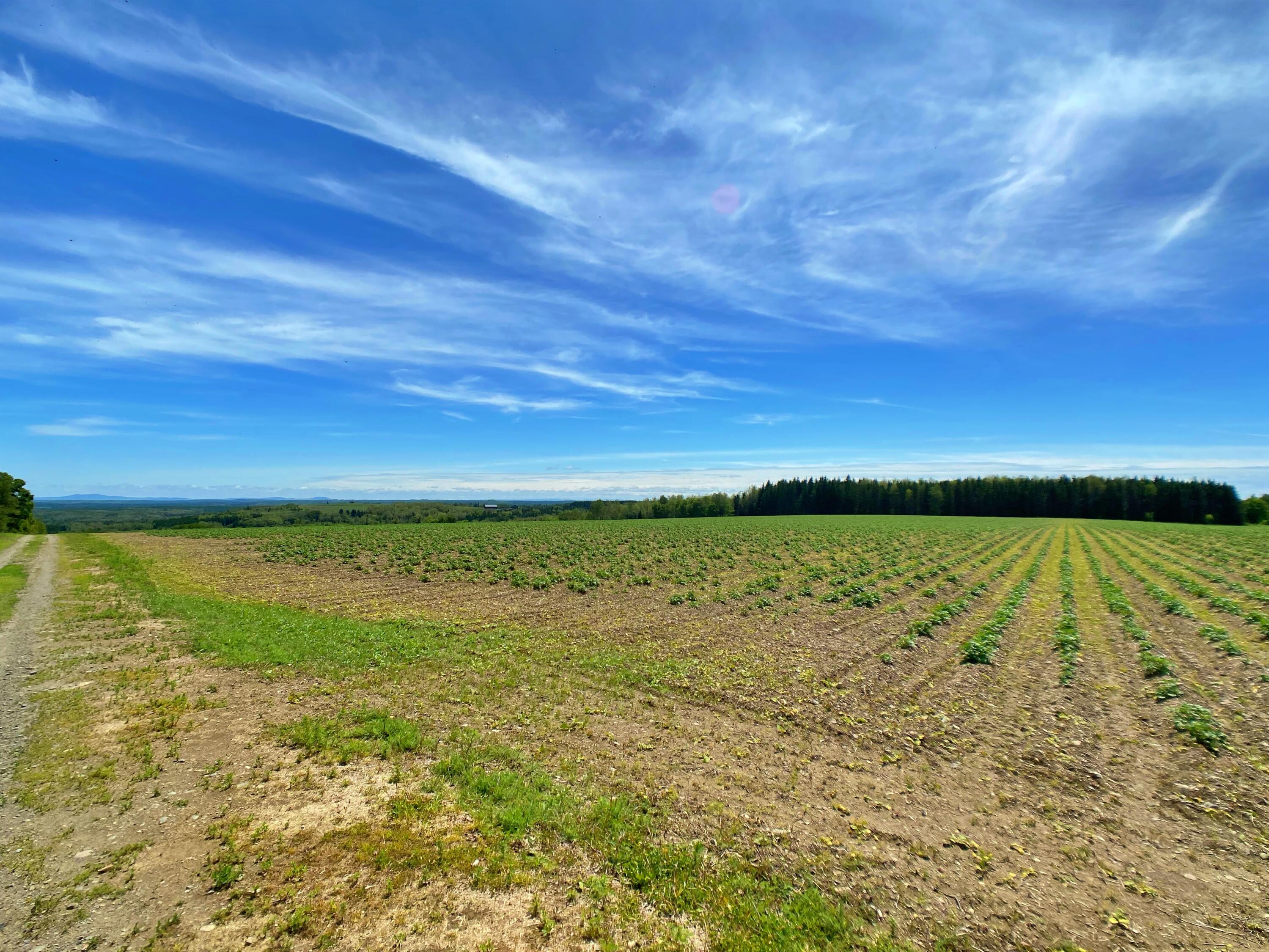 20-24 Caribou Road Van Buren, ME 04785 - Photo 12 of 19 McCamicIMG_8080