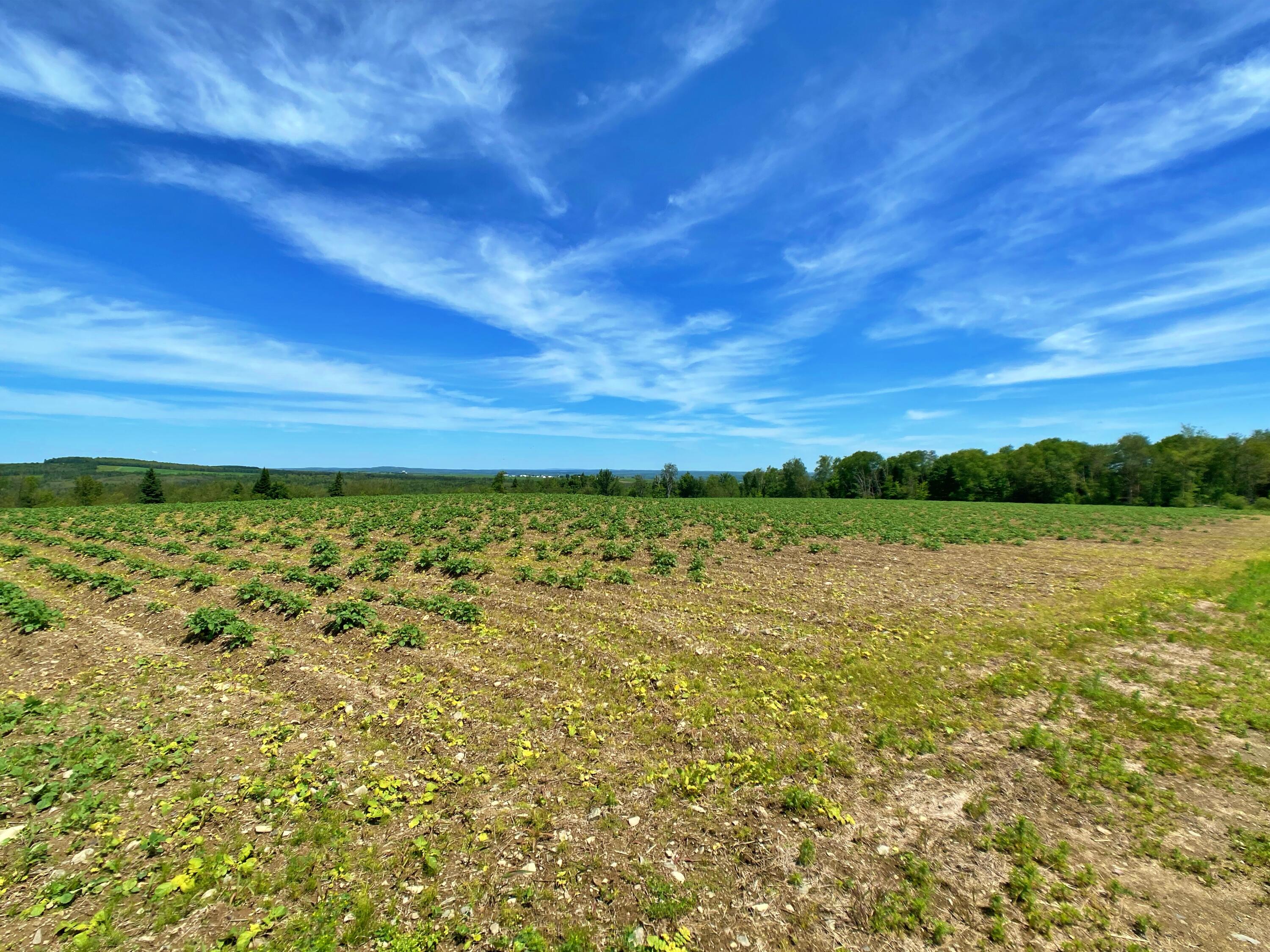 20-24 Caribou Road Van Buren, ME 04785 - Photo 3 of 19 McCamicIMG_8082