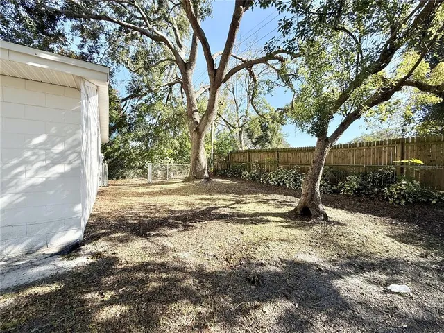 a view of a yard with plants and trees