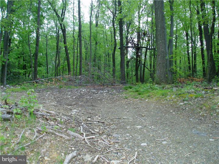 Powder Mill Hollow Road Boyertown, PA 19512 - Photo 3 of 6 Gallery Image 3