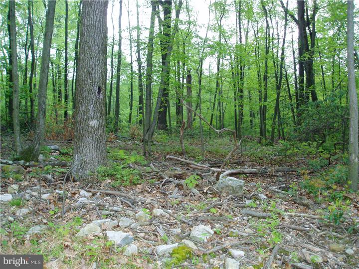 Powder Mill Hollow Road Boyertown, PA 19512 - Photo 4 of 6 Gallery Image 4