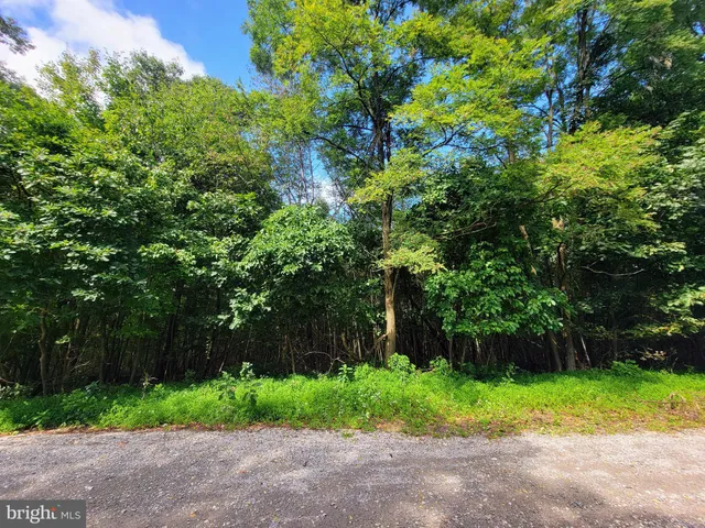 $20,000 | 0 Whitetail Crossing Road, Tamaqua, PA 18252