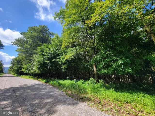 $20,000 | 0 Whitetail Crossing Road, Tamaqua, PA 18252