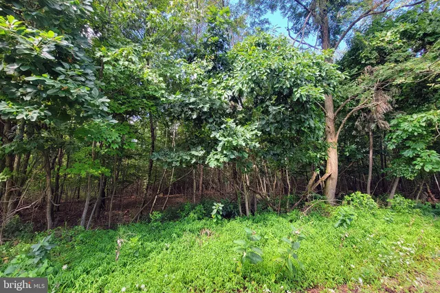 $20,000 | 0 Whitetail Crossing Road, Tamaqua, PA 18252