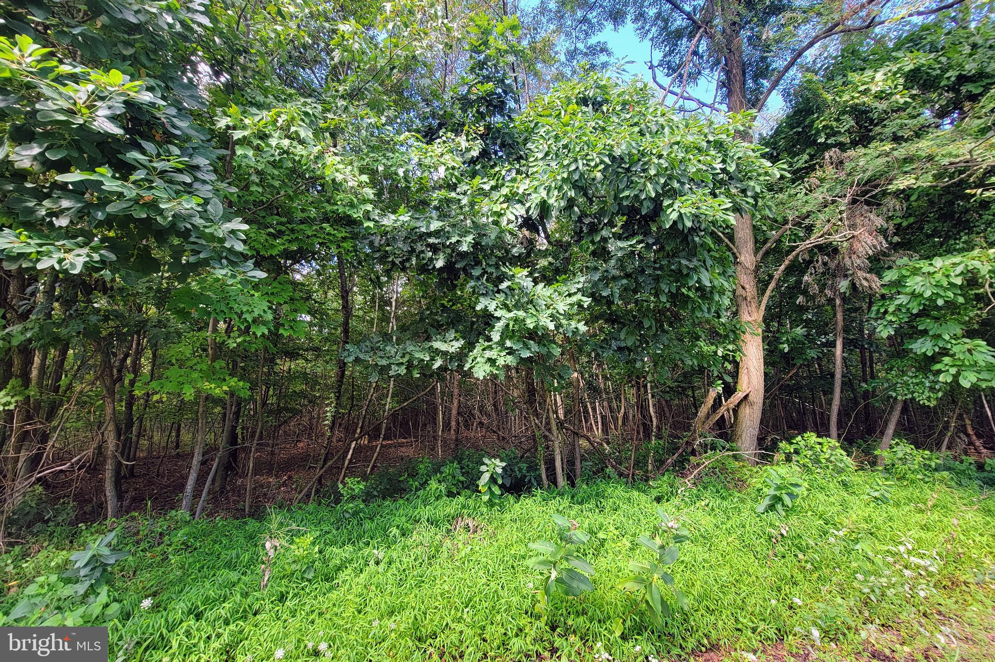 0 Whitetail Crossing Road Tamaqua, PA 18252 - Photo 3 of 4