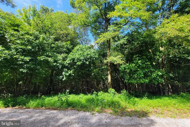 $20,000 | 0 Whitetail Crossing Road, Tamaqua, PA 18252