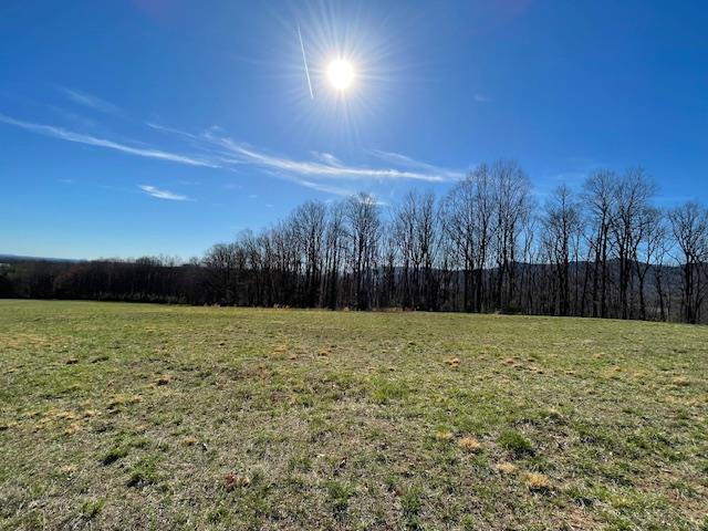 535 Ridgeview Drive Cana, VA 24317 - Photo 15 of 18 Gallery Image 15