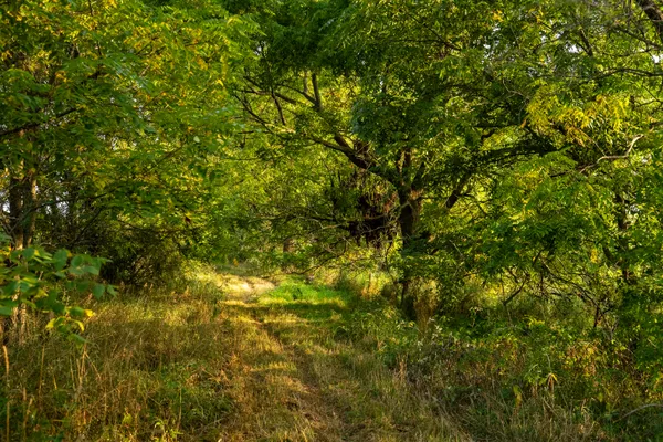 $999,000 | 0 Hadley Road, Lapeer, MI 48446