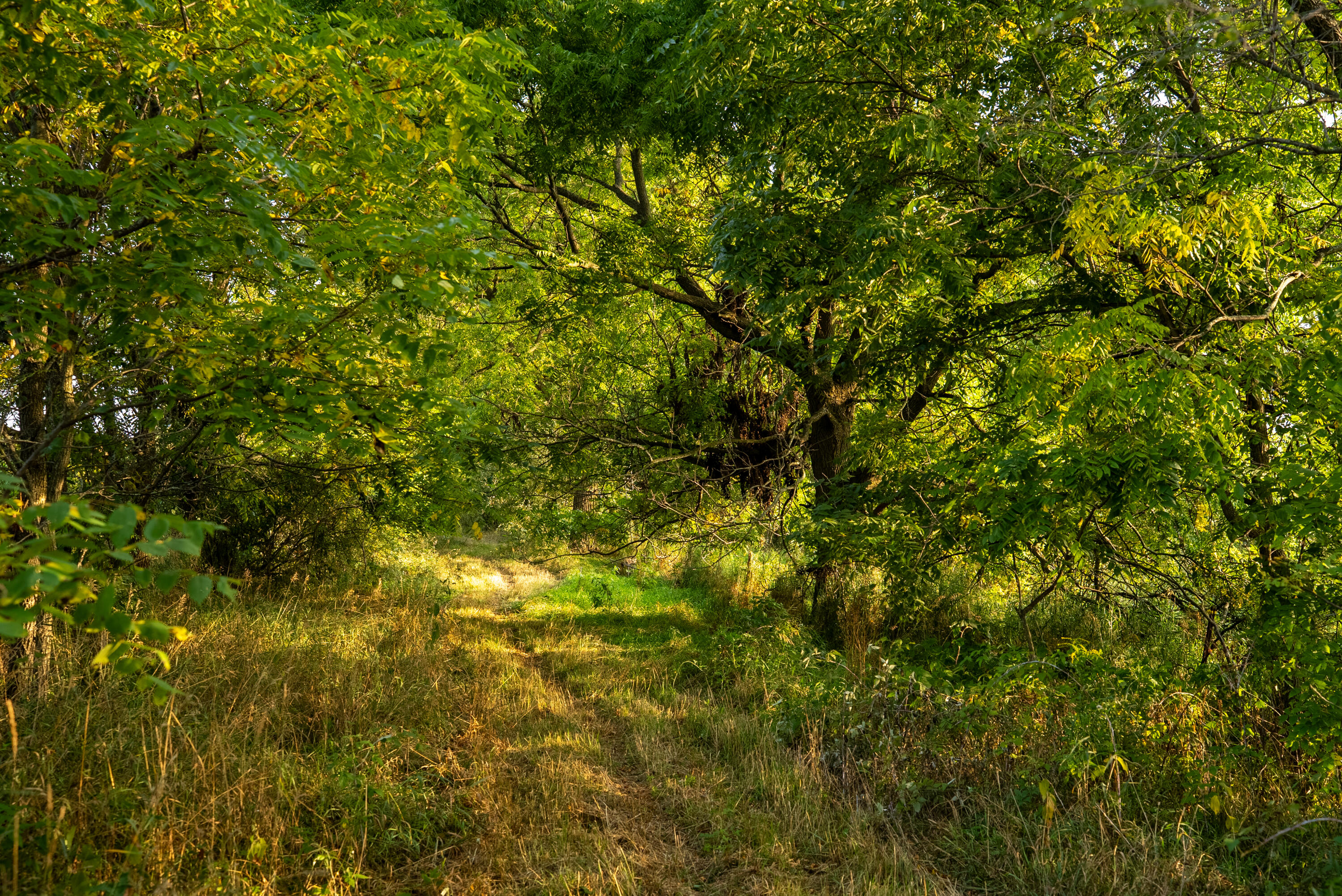Stonegate Acreage 130 Diverse acres