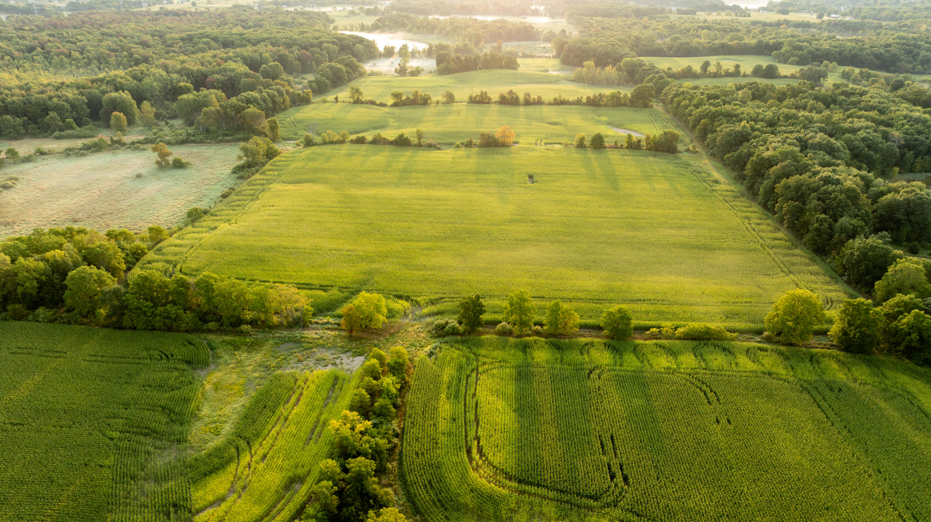 2681 Hadley Road Lapeer, MI 48446 - Photo 11 of 31 Lapeer 130-10