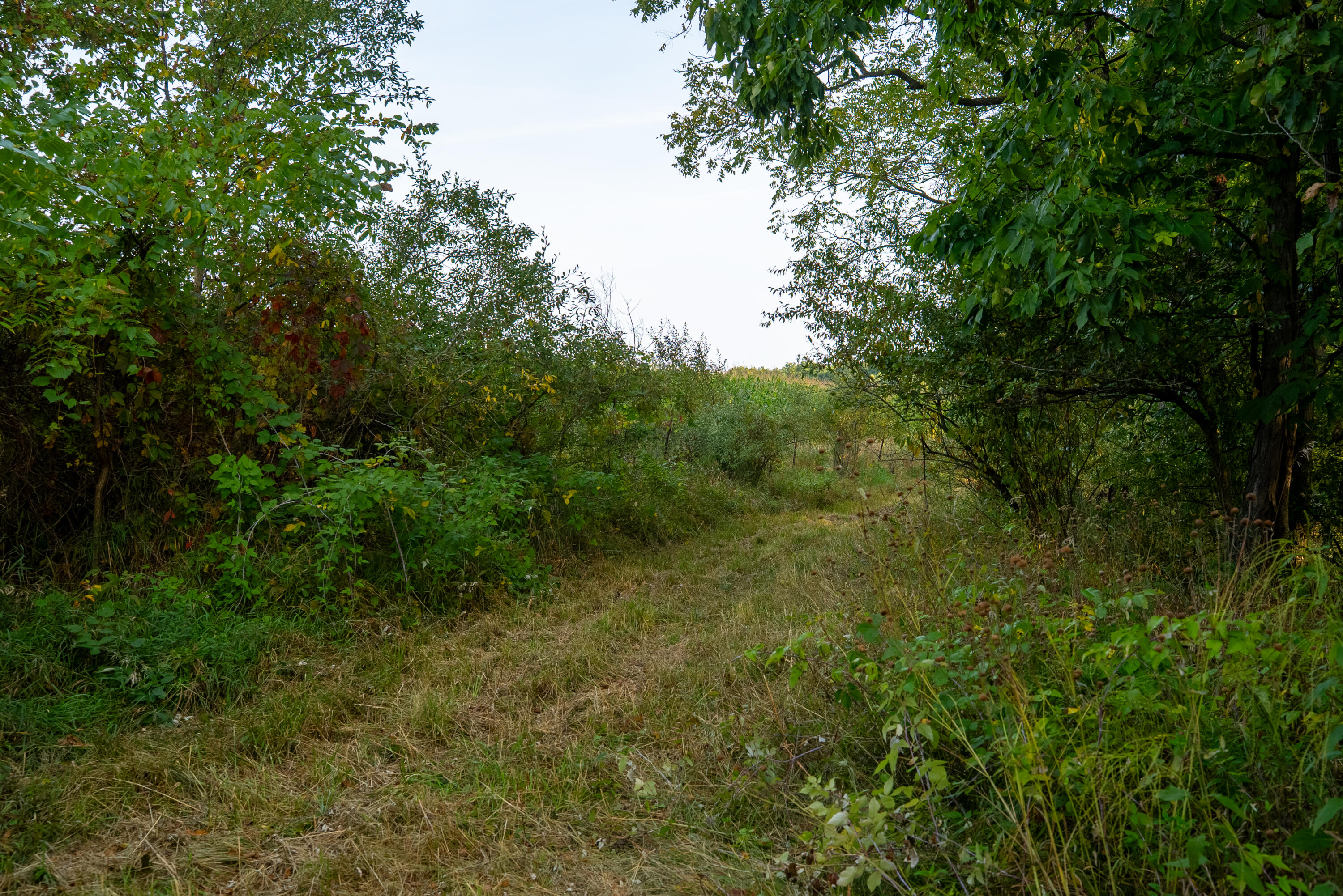 2681 Hadley Road Lapeer, MI 48446 - Photo 12 of 31 Lapeer 130-13