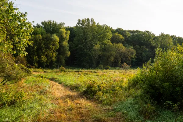 $999,000 | 0 Hadley Road, Lapeer, MI 48446