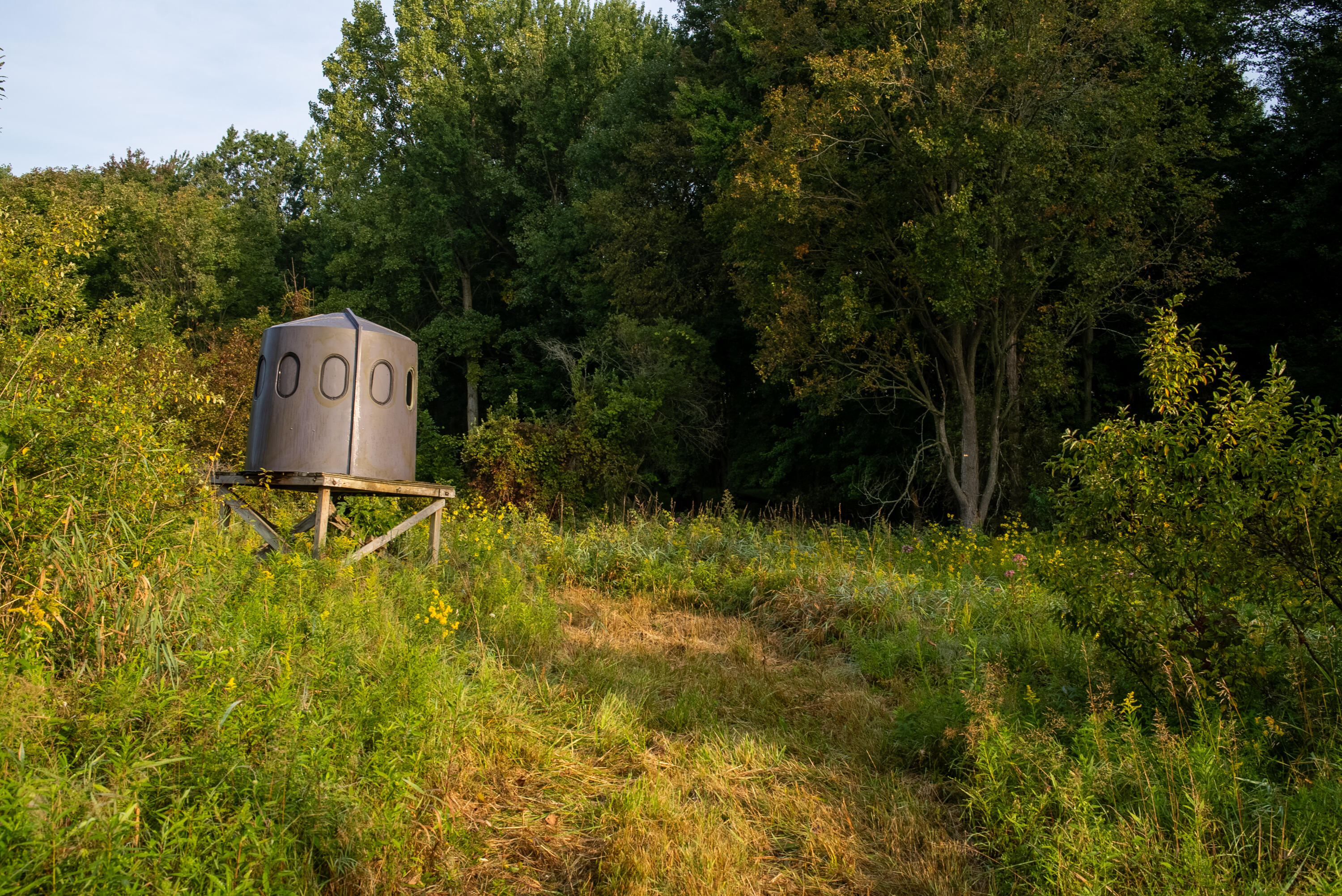 2681 Hadley Road Lapeer, MI 48446 - Photo 14 of 31 Lapeer 130-14jpg