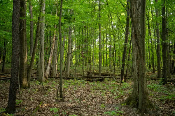 $999,000 | 0 Hadley Road, Lapeer, MI 48446