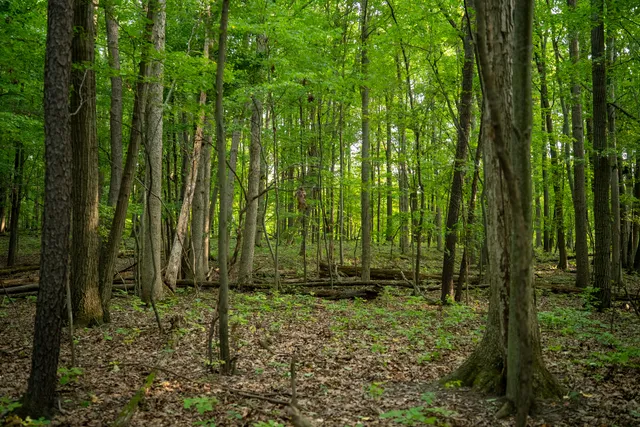 $999,000 | 2681 Hadley Road, Lapeer, MI 48446