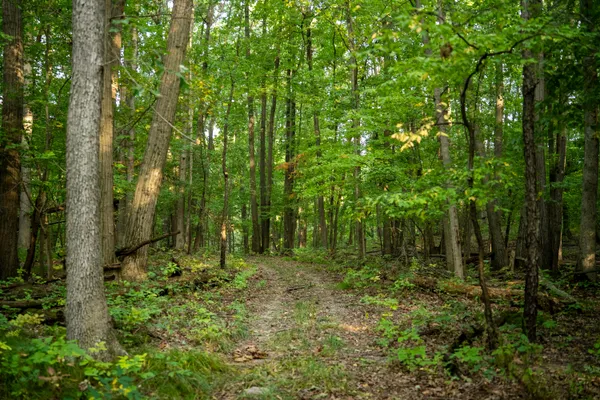 $999,000 | 0 Hadley Road, Lapeer, MI 48446