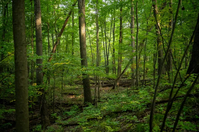 $999,000 | 2681 Hadley Road, Lapeer, MI 48446