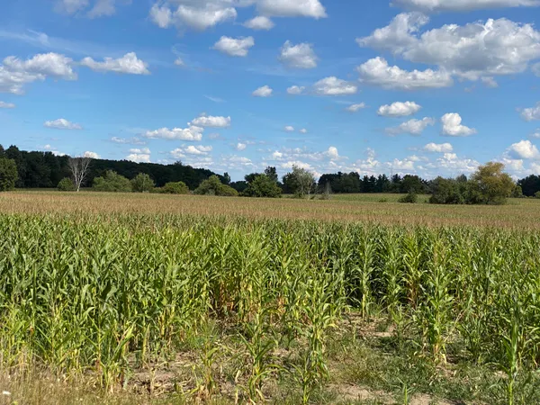 $999,000 | 0 Hadley Road, Lapeer, MI 48446