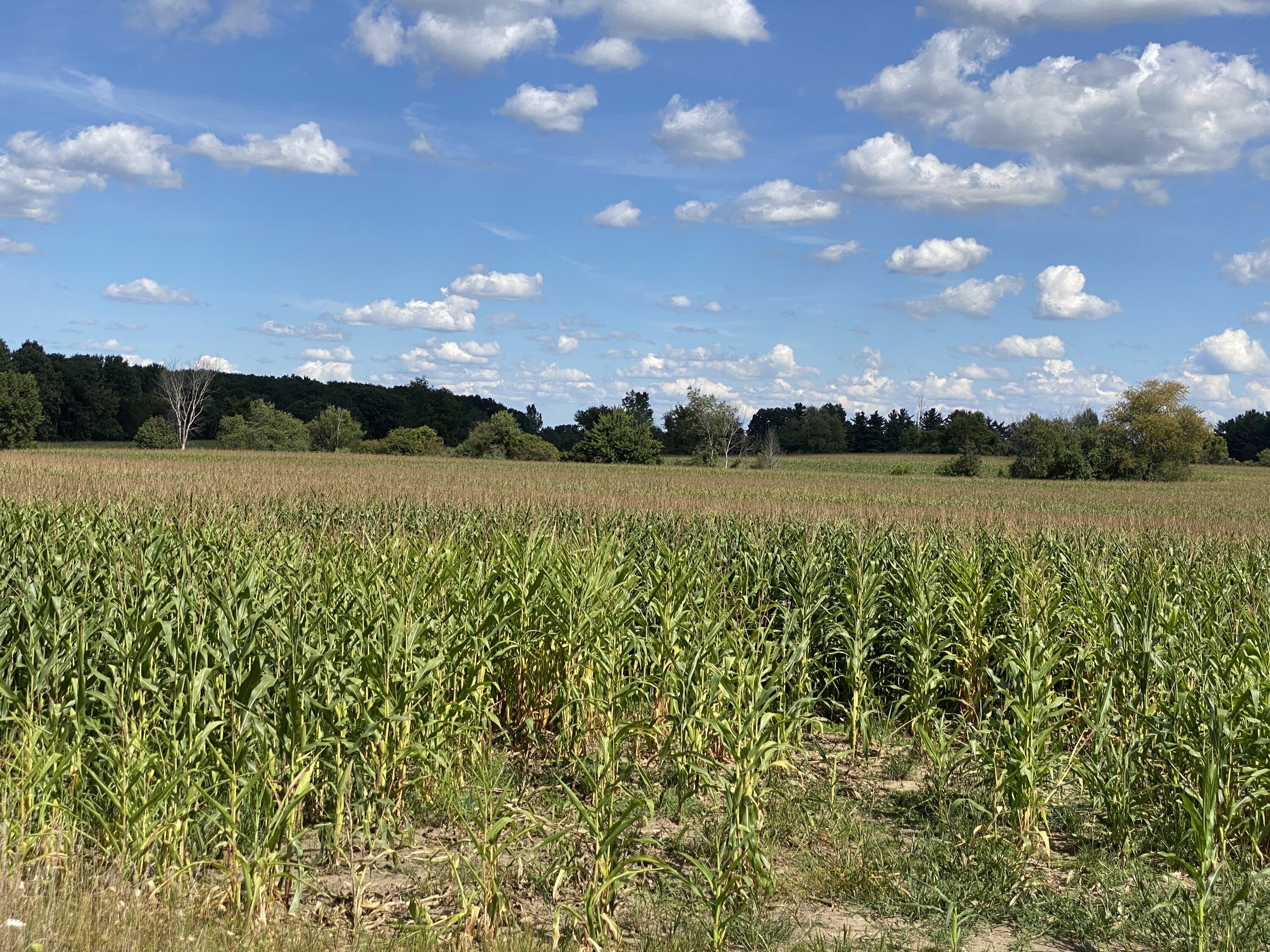 2681 Hadley Road Lapeer, MI 48446 - Photo 18 of 31 Lapeer 130-19