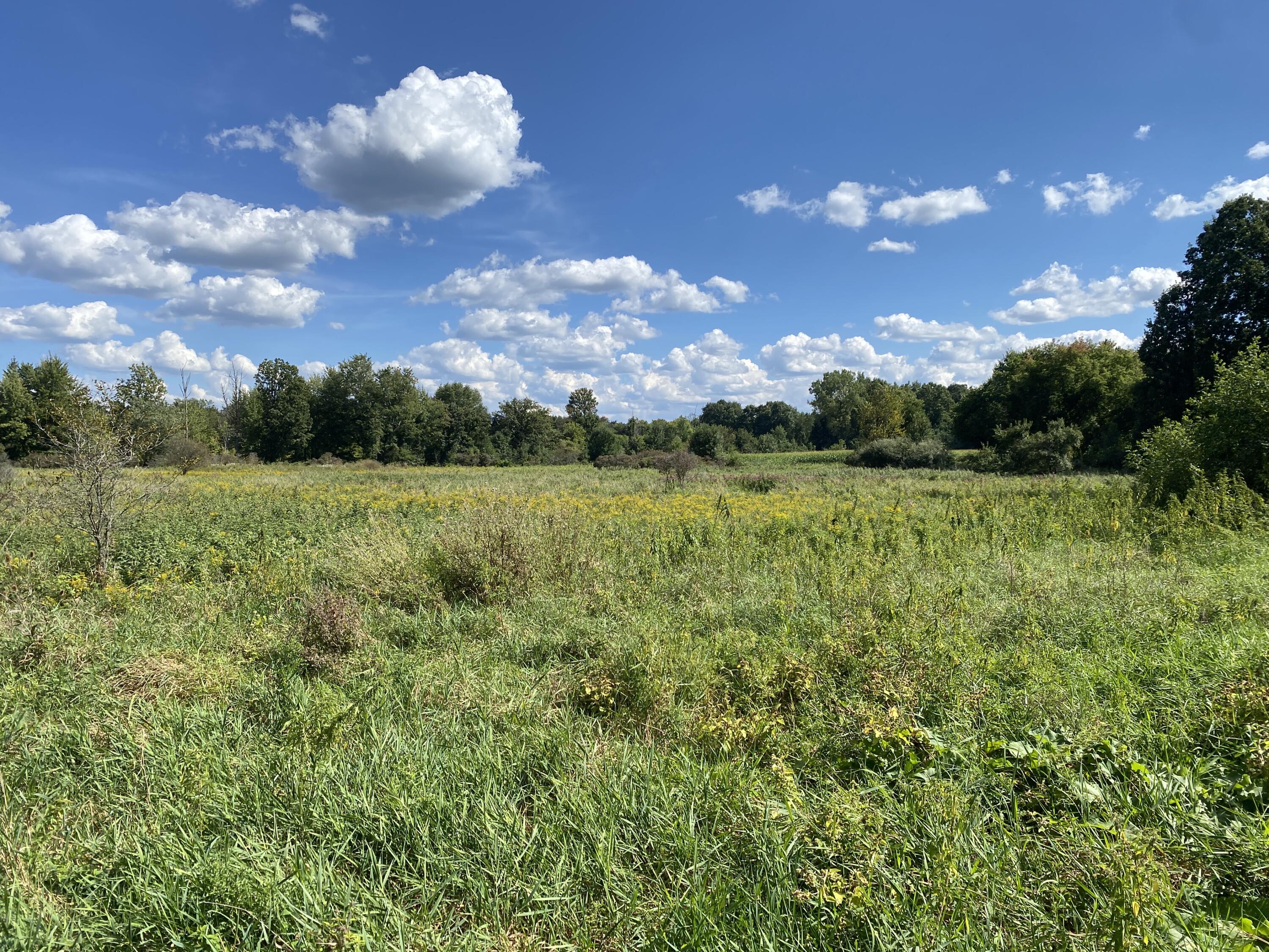 2681 Hadley Road Lapeer, MI 48446 - Photo 19 of 31 Lapeer 130-20