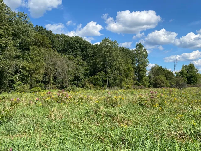 $999,000 | 2681 Hadley Road, Lapeer, MI 48446