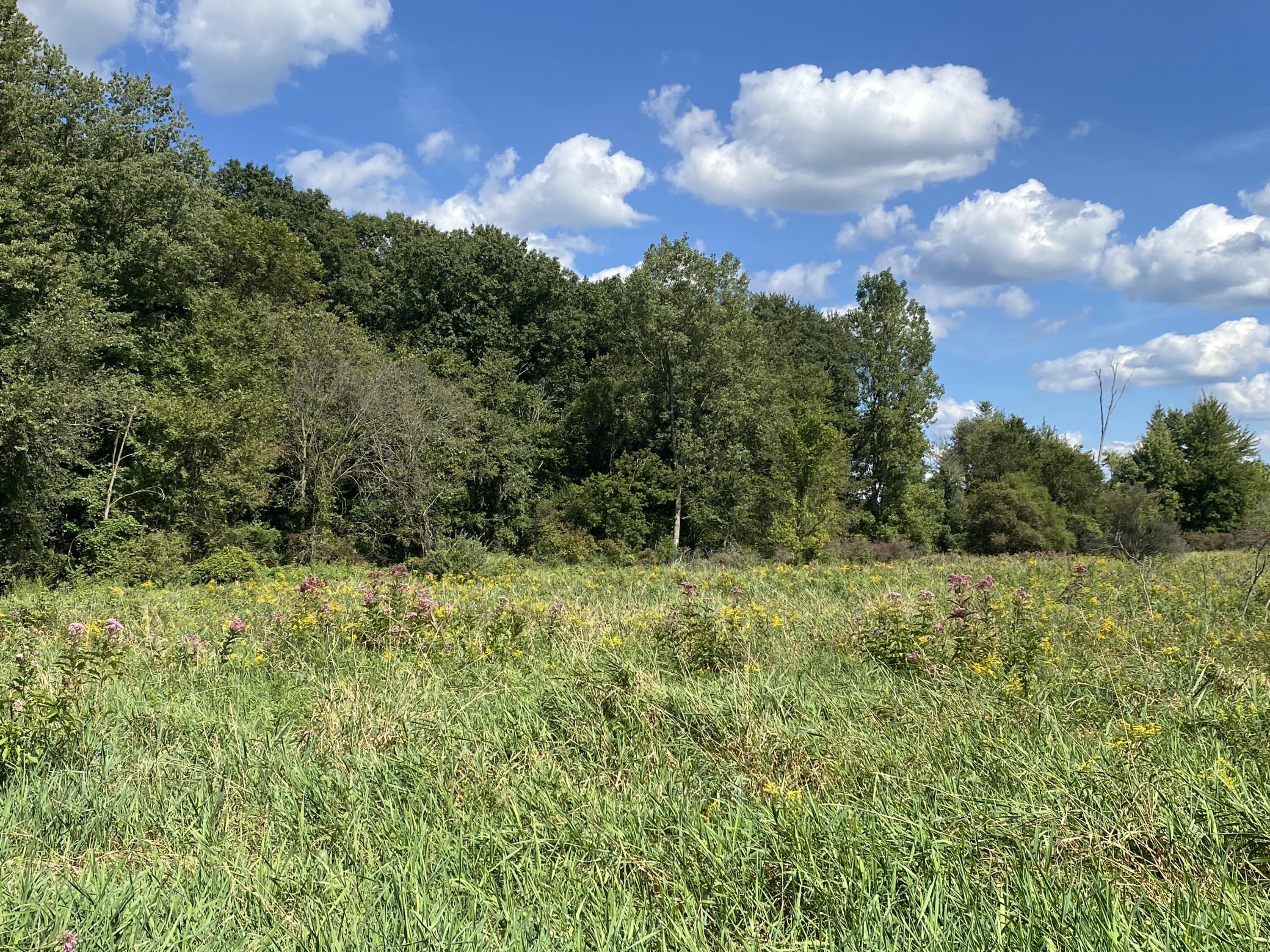 2681 Hadley Road Lapeer, MI 48446 - Photo 20 of 31 Lapeer 130-21