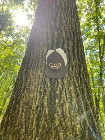 $999,000 | 0 Hadley Road, Lapeer, MI 48446