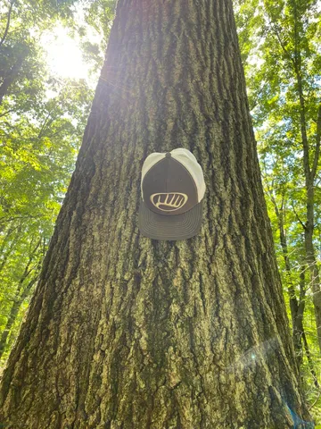 $999,000 | 2681 Hadley Road, Lapeer, MI 48446