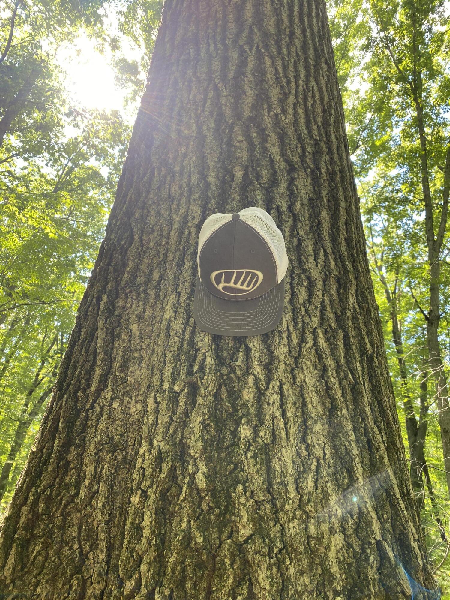 2681 Hadley Road Lapeer, MI 48446 - Photo 21 of 31 Lapeer 130-23