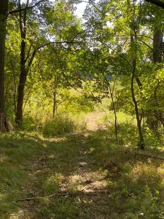 $999,000 | 0 Hadley Road, Lapeer, MI 48446