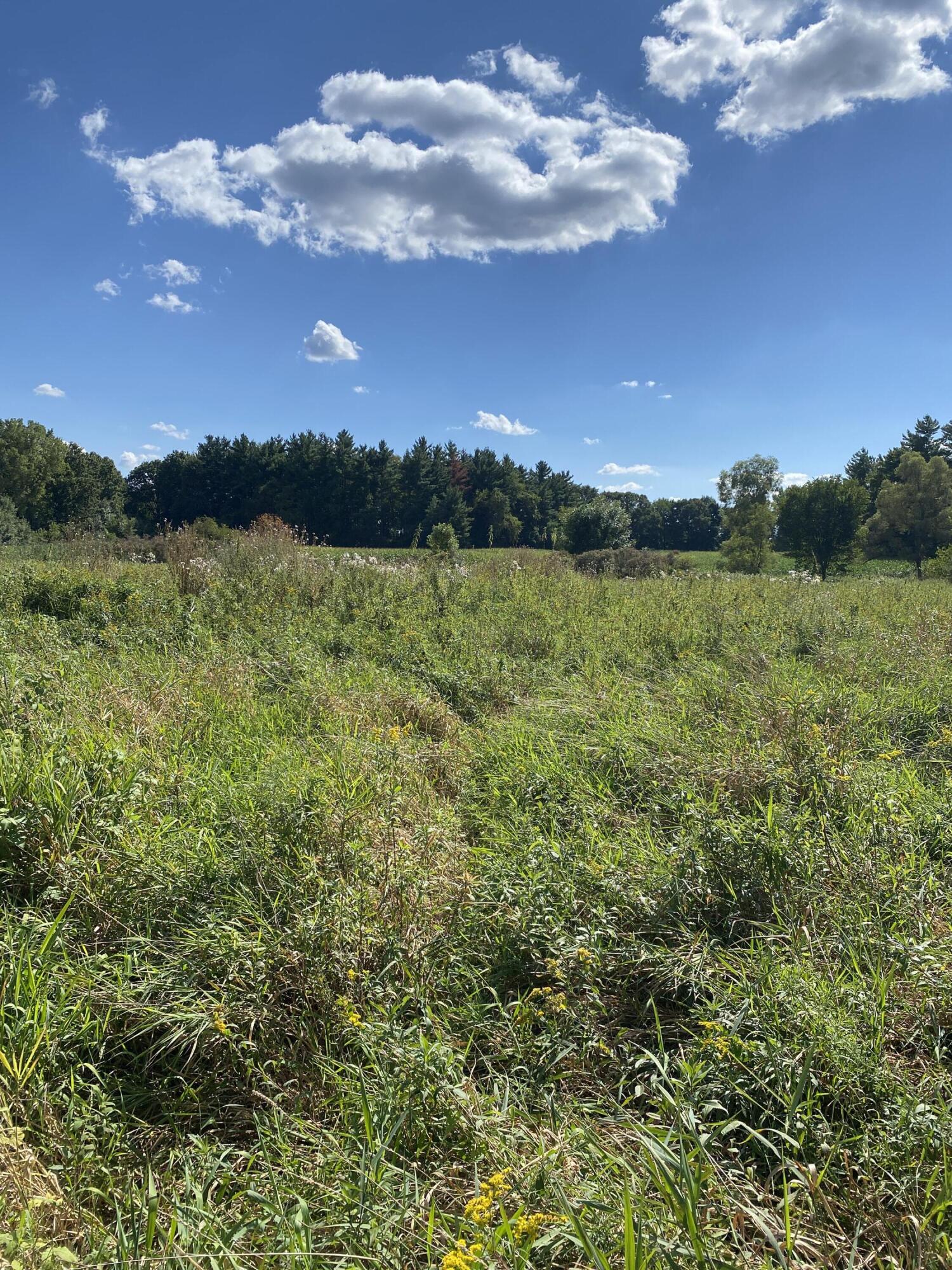 2681 Hadley Road Lapeer, MI 48446 - Photo 24 of 31 Lapeer 130-26