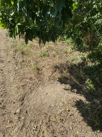 $999,000 | 0 Hadley Road, Lapeer, MI 48446