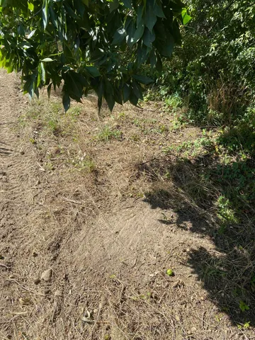 $999,000 | 2681 Hadley Road, Lapeer, MI 48446