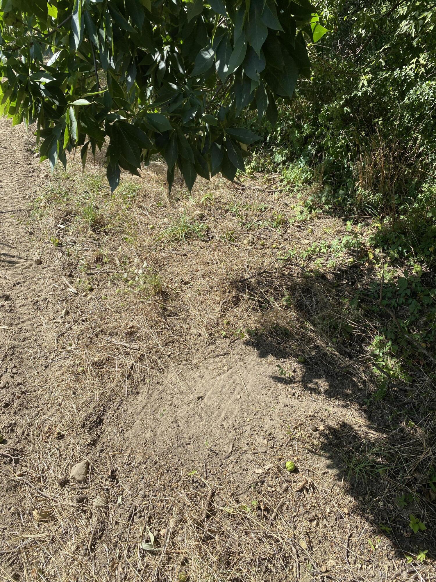 2681 Hadley Road Lapeer, MI 48446 - Photo 26 of 31 Lapeer 130-30