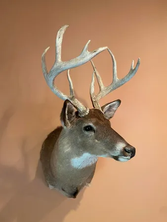 $999,000 | 0 Hadley Road, Lapeer, MI 48446