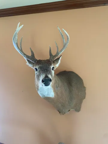 $999,000 | 2681 Hadley Road, Lapeer, MI 48446