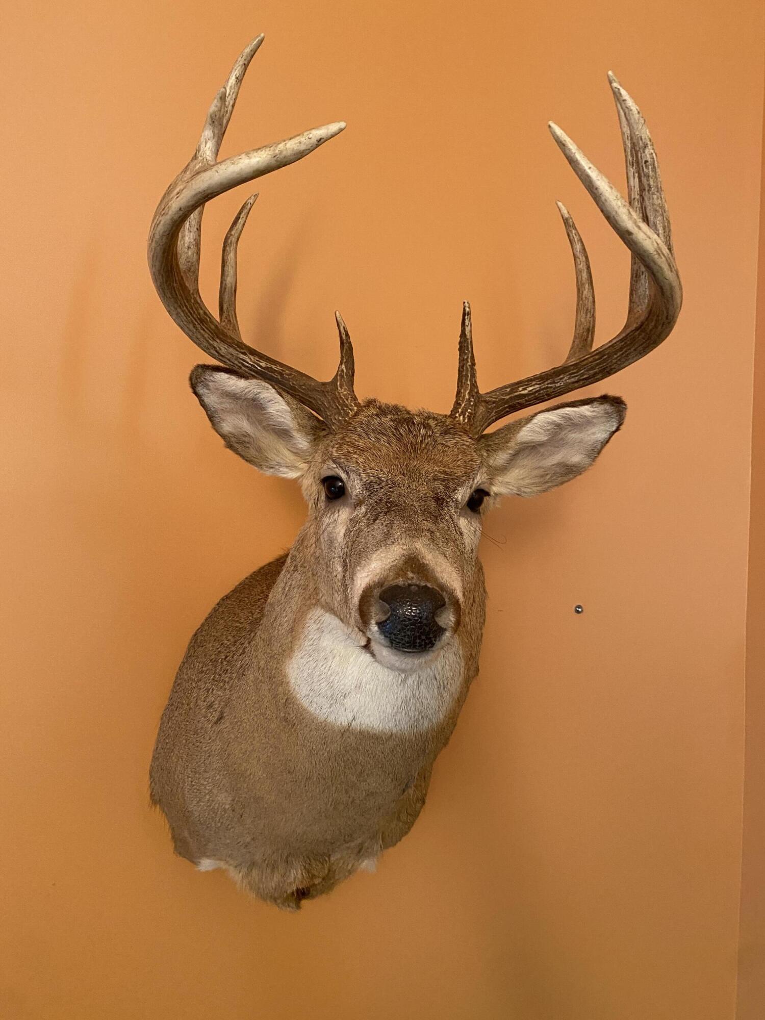 2681 Hadley Road Lapeer, MI 48446 - Photo 29 of 31 Lapeer 130-35