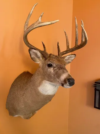 $999,000 | 0 Hadley Road, Lapeer, MI 48446