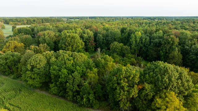 $999,000 | 2681 Hadley Road, Lapeer, MI 48446