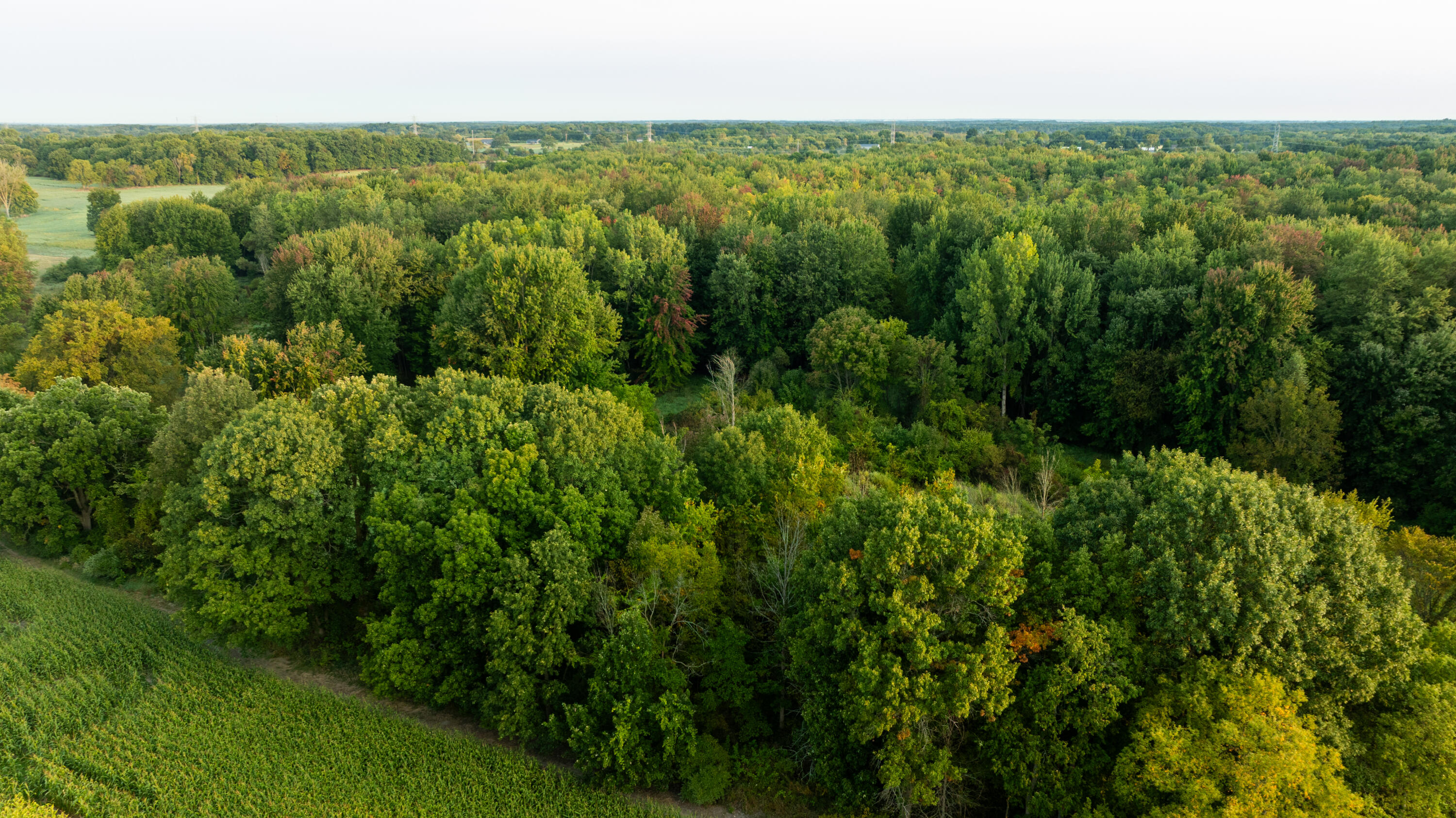 2681 Hadley Road Lapeer, MI 48446 - Photo 7 of 31 Lapeer 130-6