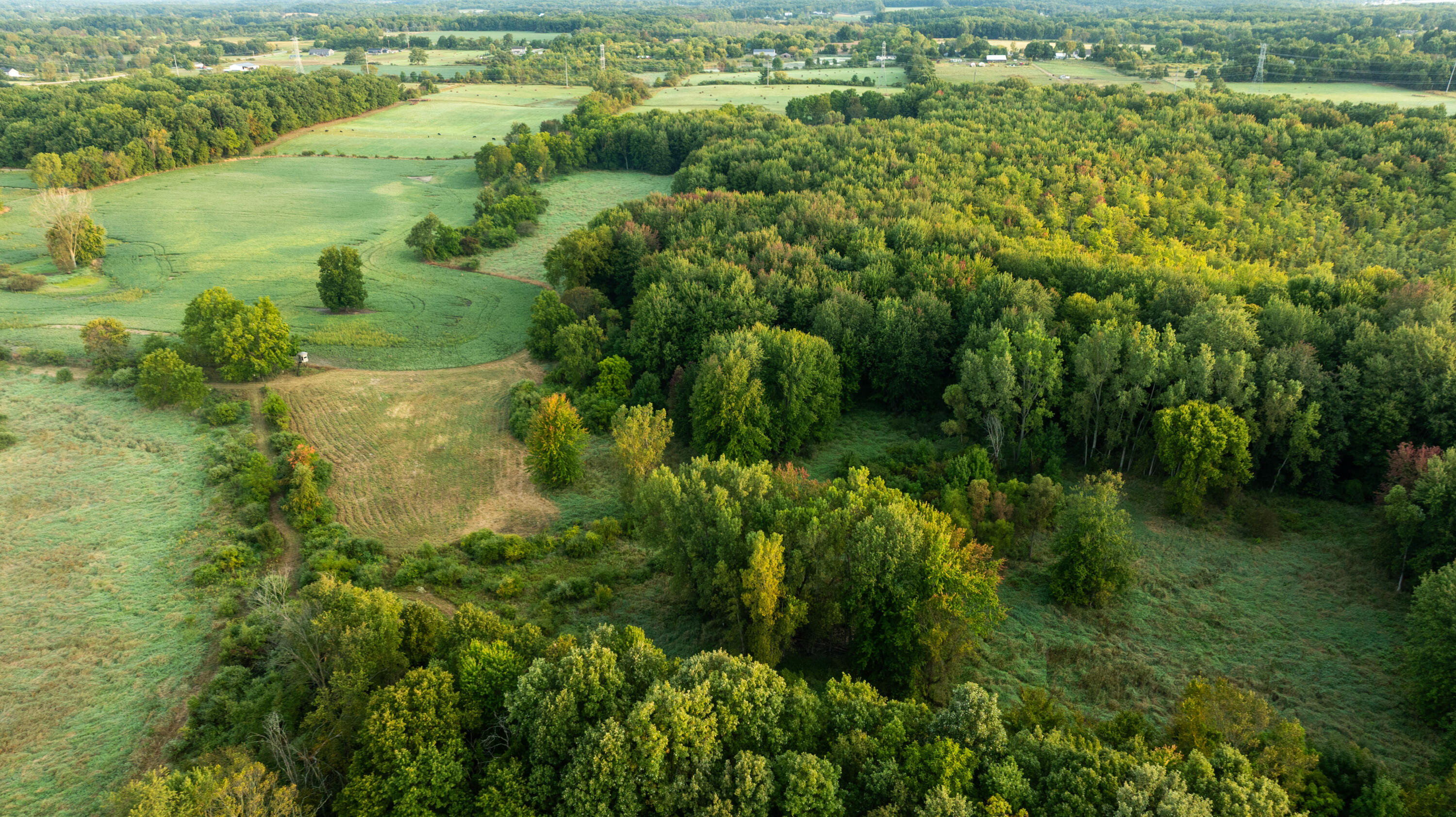 2681 Hadley Road Lapeer, MI 48446 - Photo 8 of 31 Lapeer 130-7