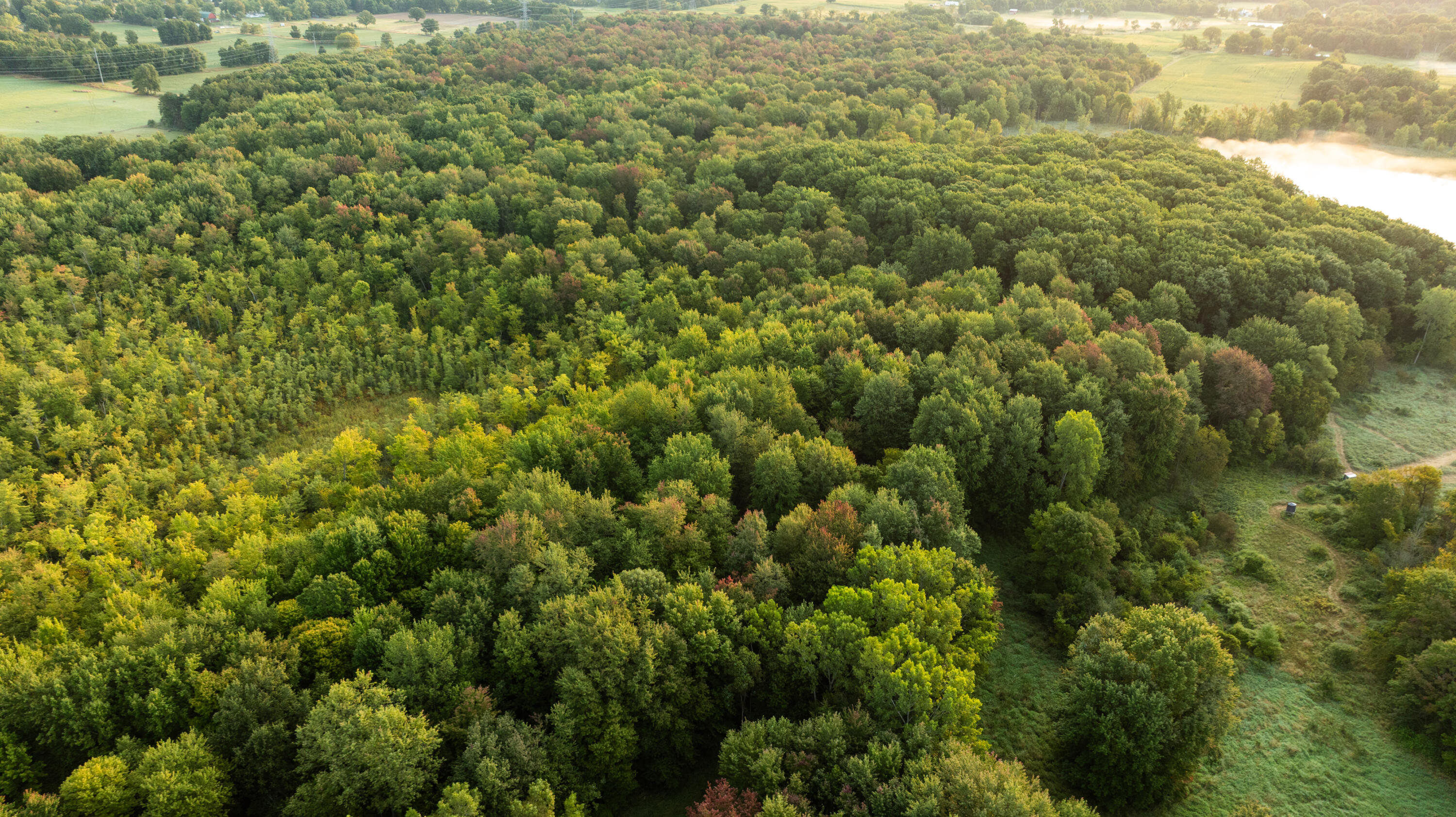 2681 Hadley Road Lapeer, MI 48446 - Photo 9 of 31 Lapeer 130-8