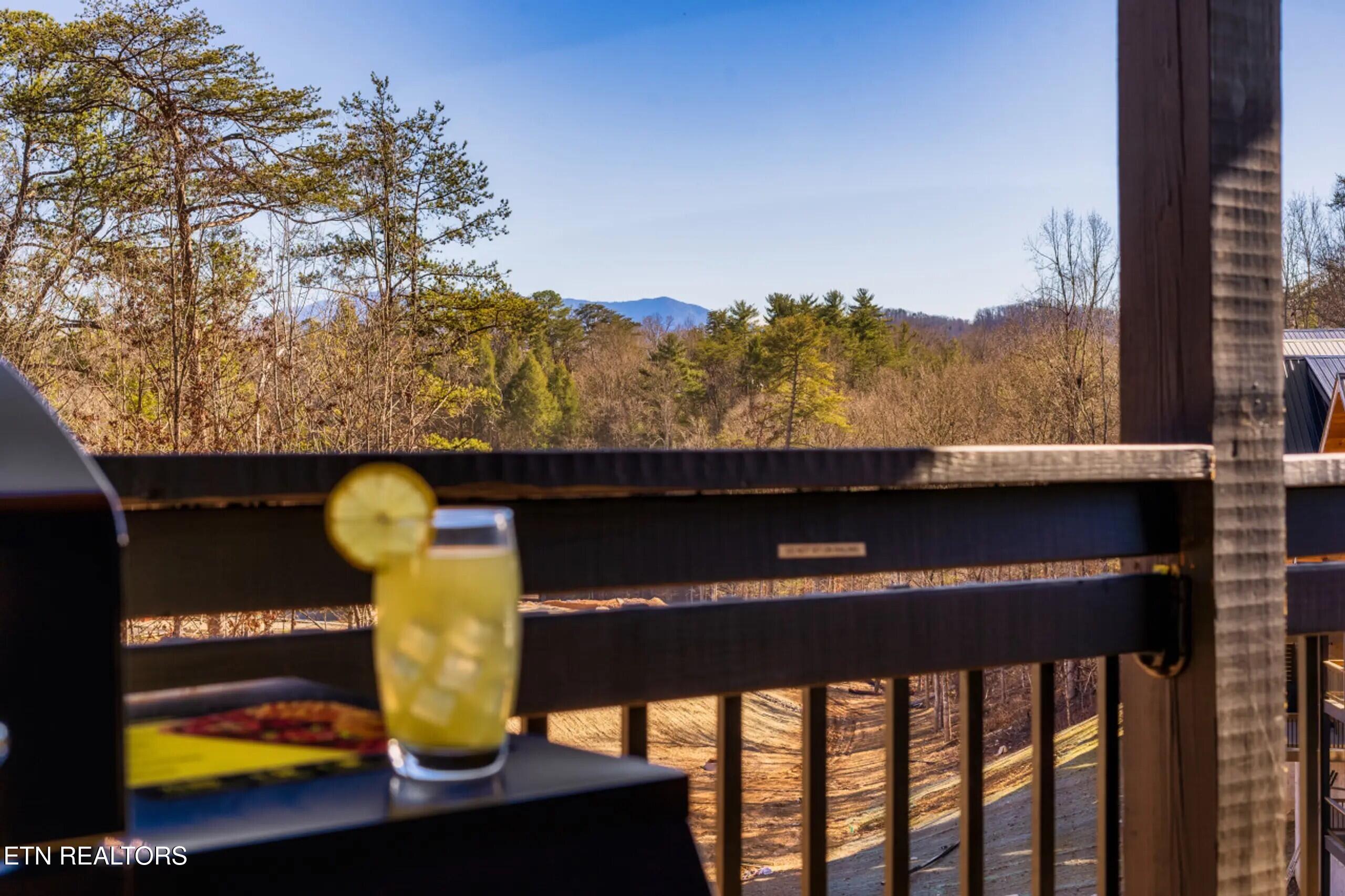 2852 Sequoia Road Pigeon Forge, TN 37863 - Photo 50 of 60 81A