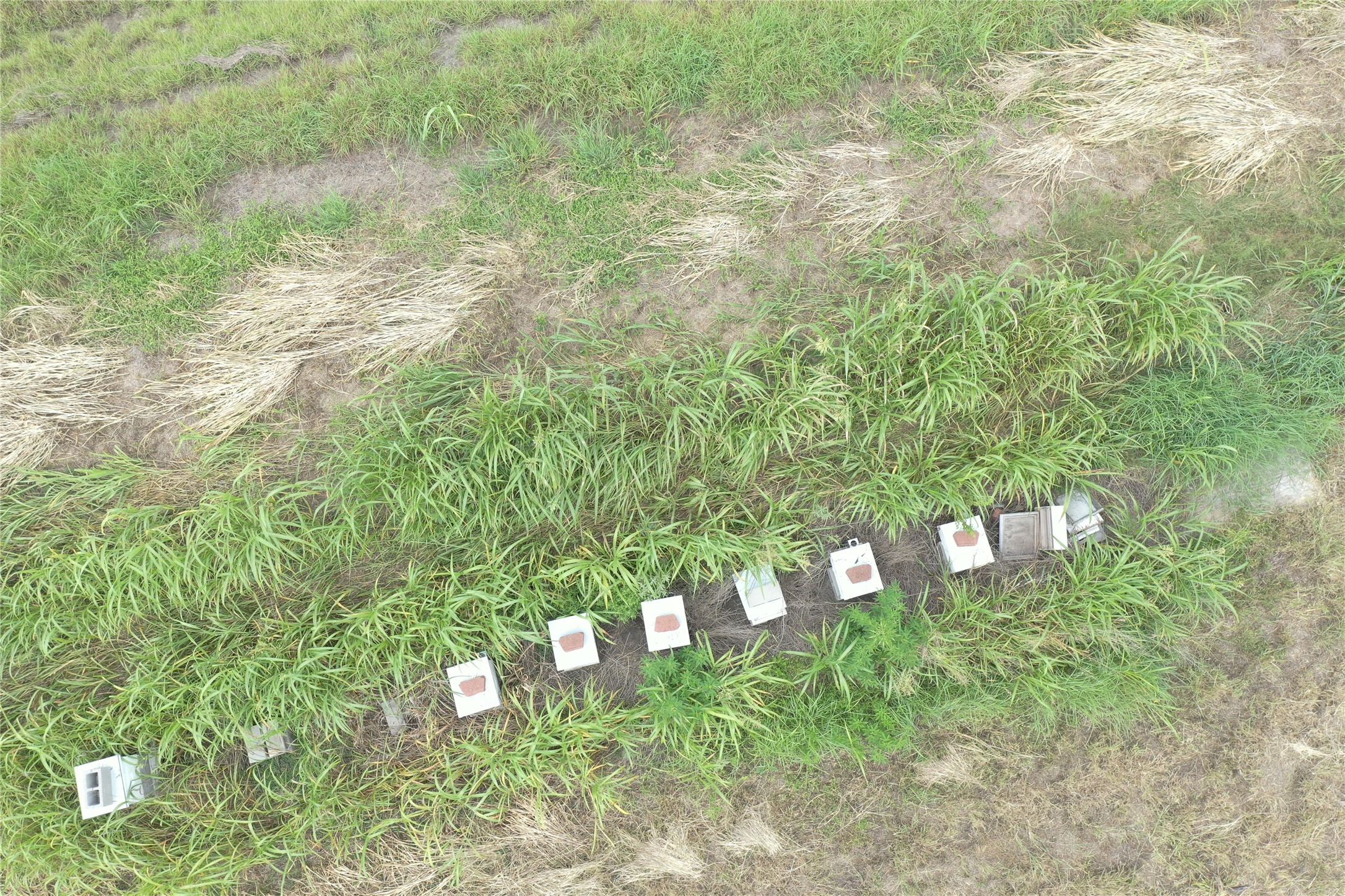 0 County Road 214 Road Bay City, TX 77414 - Photo 17 of 22