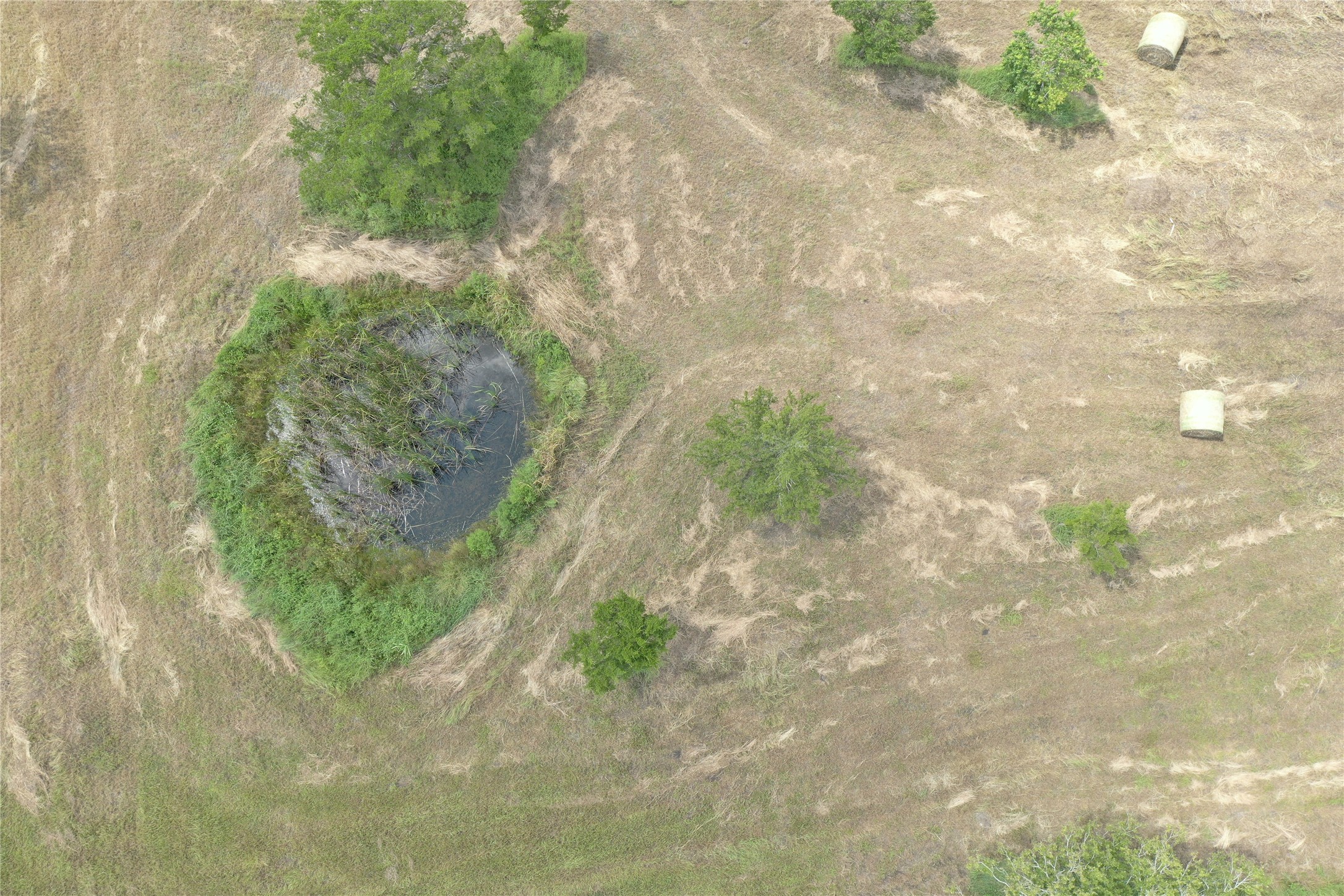 0 County Road 214 Road Bay City, TX 77414 - Photo 10 of 22