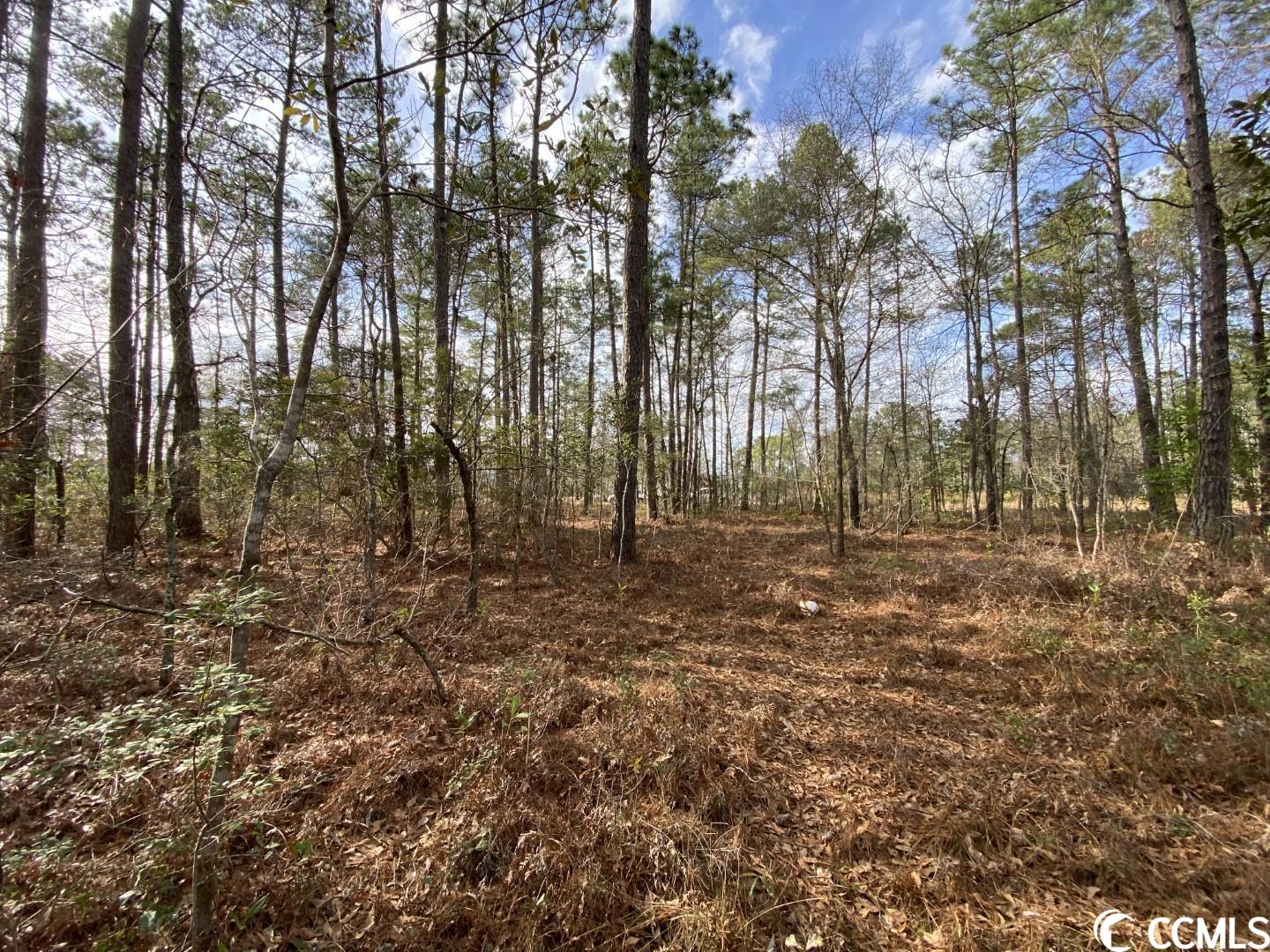 Lot B Inheritance Road Conway, SC 29527 - Photo 2 of 5